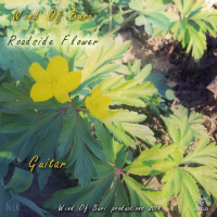 Roadside Flower (Guitar)