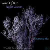 Night Visions (Enigmatic Mix)