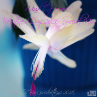 Valentines Day 2016 Special Mix