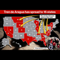 There Is No Defense For What They Do