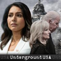 The Buffoonery of the Bidens amp The Awakening of Gabbard