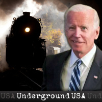 Bidens Lame Victory Lap amp Why Government Shouldnt Pick Winners and Losers