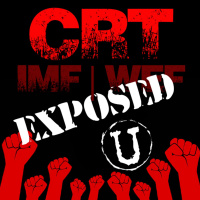 INTERVIEW: CRT, IMF amp WEF: The Hostile Takeover of the United States