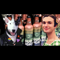 The Transition of Spuds MacKenzie