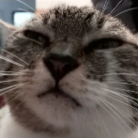 POKAS IDEIA - SOBRE O SUPER