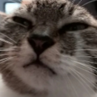 POKAS IDEIA - Sobre a introdução de redações..