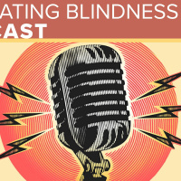Navigating Blindness Podcast -employment service team2020