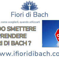 Quando smettere di prendere fiori di Bach?