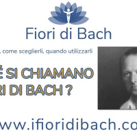 Perché si chiamano fiori di Bach?