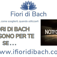 I fiori di Bach non sono per te se ...