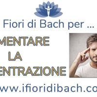 Fiori di Bach per aumentare la concentrazione