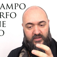 Il campo morfogenetico - Costellazioni Floreali