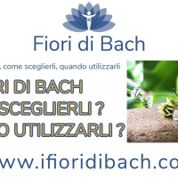 Come scegliere fiori di Bach