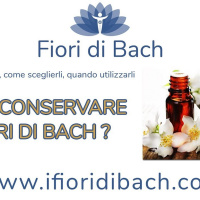 Come conservare i fiori di Bach?