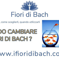 Fiori di Bach: quando cambiare la miscela