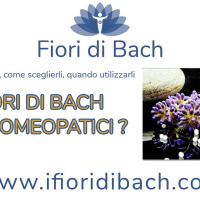 I fiori di Bach sono rimedi omeopatici?