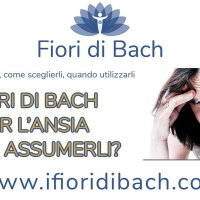 Fiori di Bach per lansia. Come si assumono?
