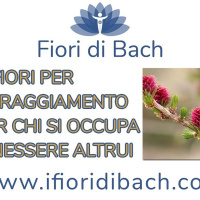 Elenco Fiori di Bach parte terza