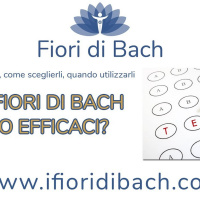 Test fiori di Bach sono efficaci?