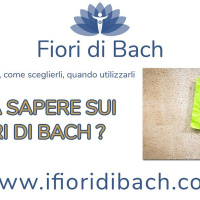 Cosa sapere sui fiori di Bach