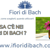 Cosa cè nei fiori di Bach?