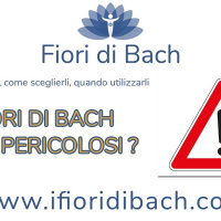 I fiori di Bach sono pericolosi?