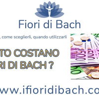 Fiori di Bach: quanto costano?