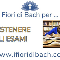 Sostenere gli esami con i Fiori di Bach!