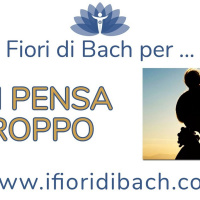 Fiori di Bach per chi pensa troppo