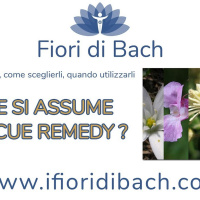 Fiori di Bach - come assumere il Rescue Remedy