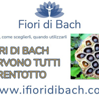 Fiori di Bach - mi servono tutti e 38?