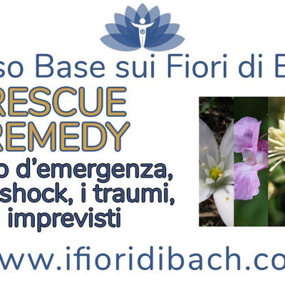 Fiori Di Bach In Pillole
