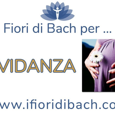 Fiori Di Bach In Pillole