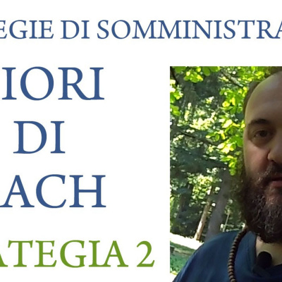 Fiori Di Bach In Pillole