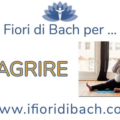 Fiori Di Bach In Pillole