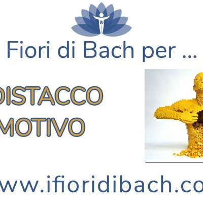 Fiori Di Bach In Pillole
