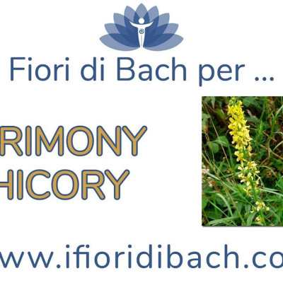 Fiori Di Bach In Pillole