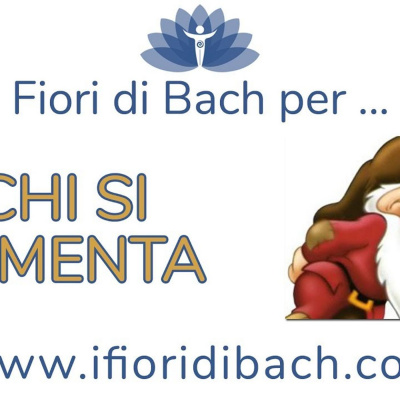 Fiori Di Bach In Pillole