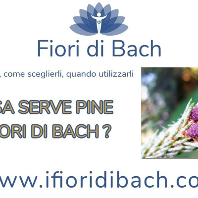 Fiori Di Bach In Pillole