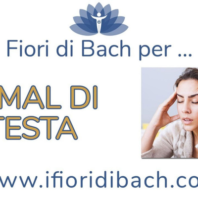 Fiori Di Bach In Pillole