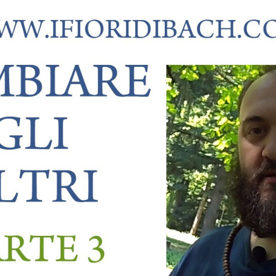 Fiori Di Bach In Pillole