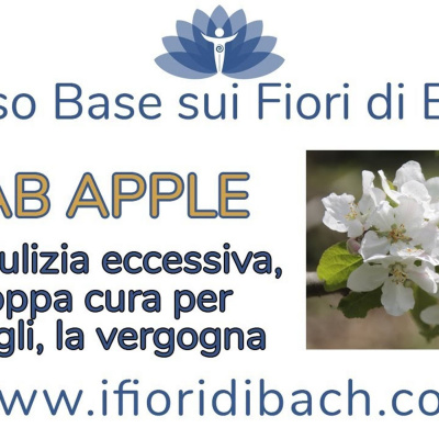Fiori Di Bach In Pillole
