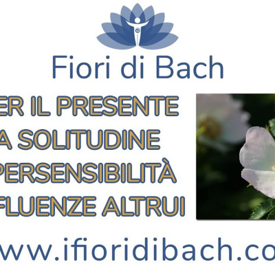 Fiori Di Bach In Pillole