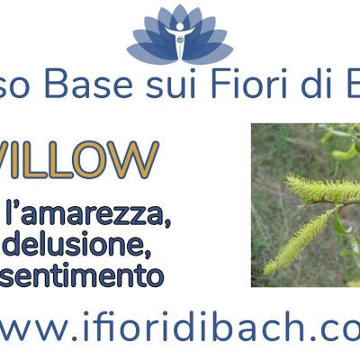Fiori Di Bach In Pillole