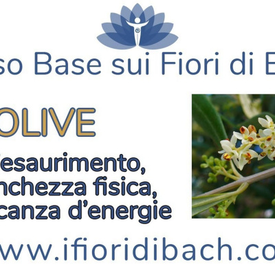 Fiori Di Bach In Pillole