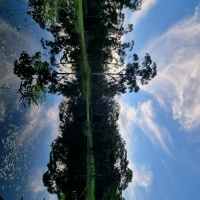 Carcoola Park - Mardi Gras 2022