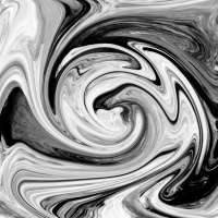 #297 Face The Transition