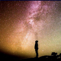 #286 (( Pretty Little Vibe 2023