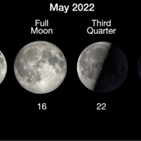 #263 New Moon Talk = Surrender