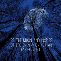 #257 Millionaire Amenities